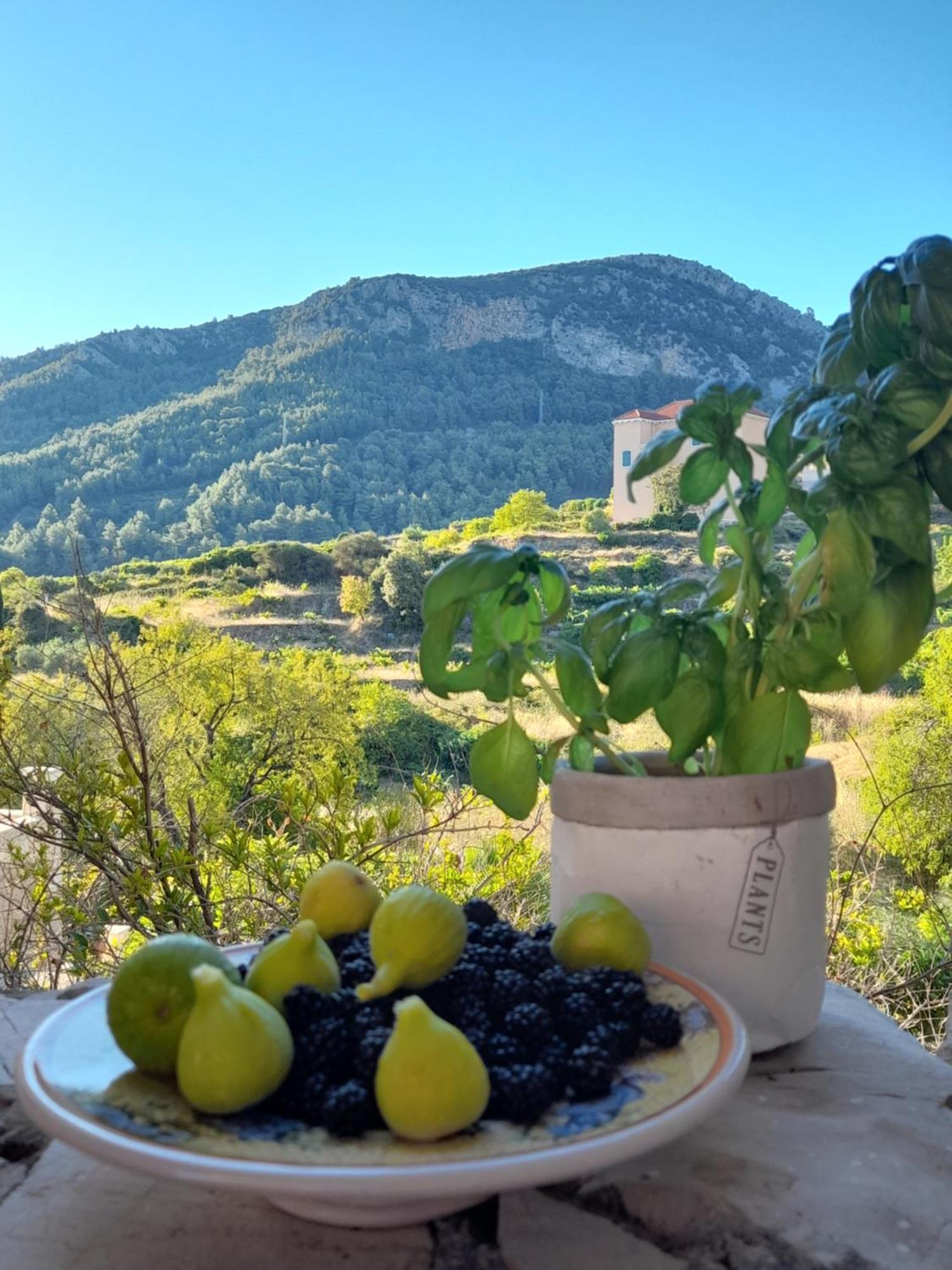 Hvar Architect'S House Pitve Zewnętrze zdjęcie