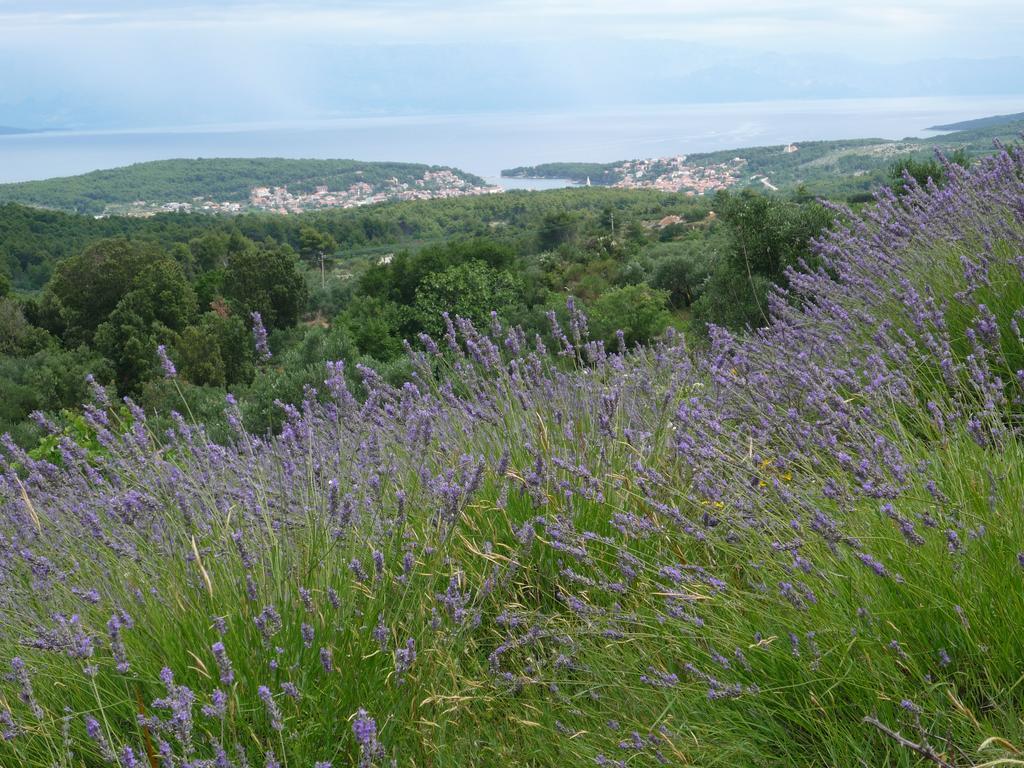 Hvar Architect'S House Pitve Zewnętrze zdjęcie